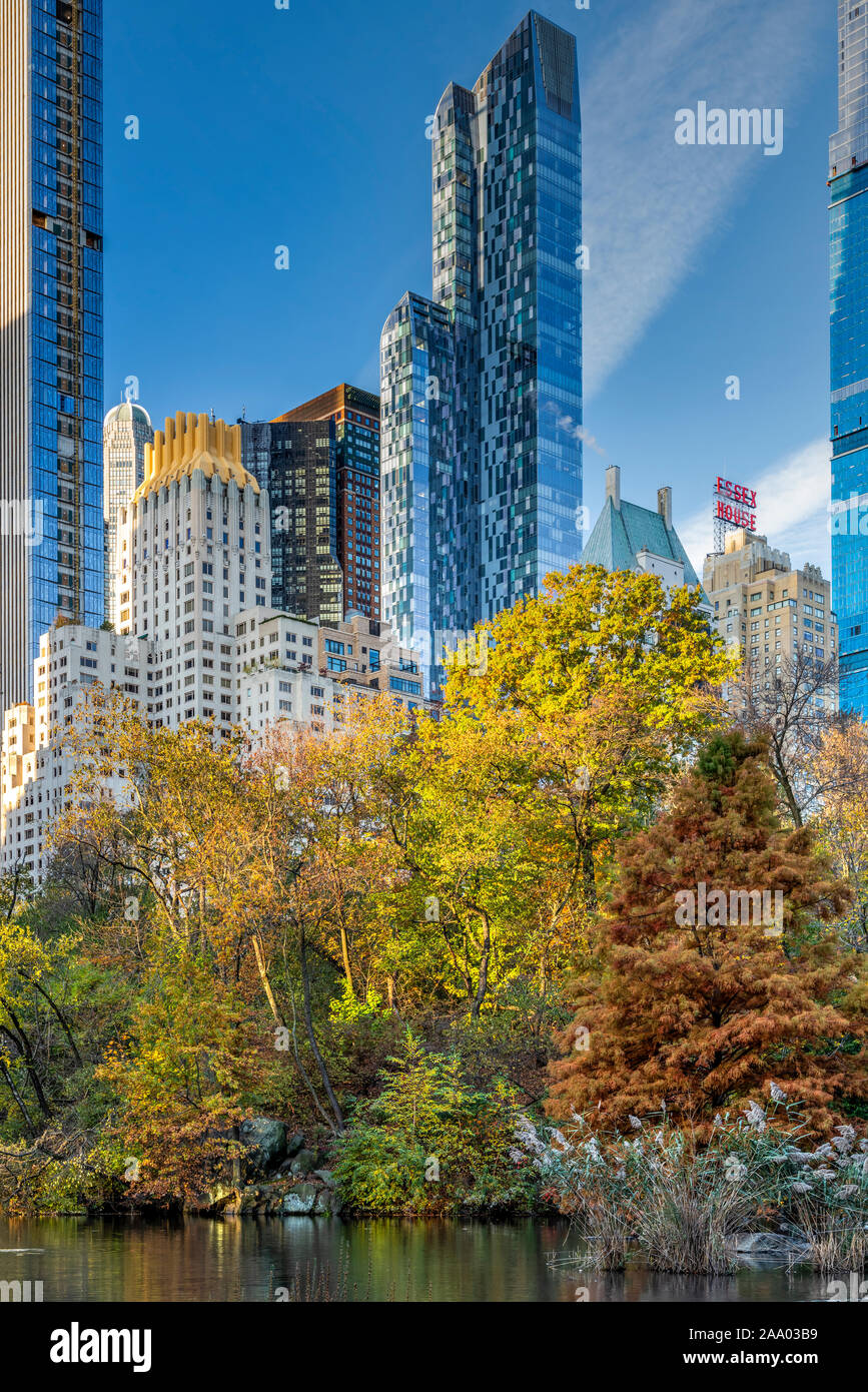 Caduta delle foglie, Central Park, Manhattan, New York, Stati Uniti d'America Foto Stock