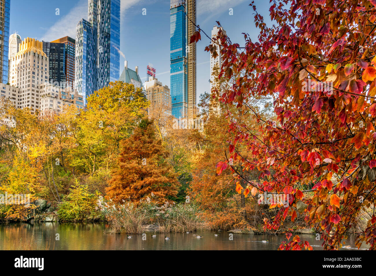Caduta delle foglie, Central Park, Manhattan, New York, Stati Uniti d'America Foto Stock