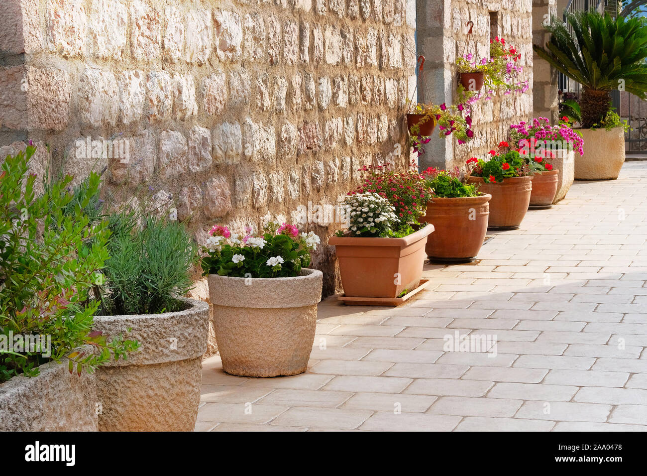 Pentole con cespugli di piante in fiore. La progettazione paesaggistica. Boccole con rosso, rosa e viola e fiori in ceramica di luce vasi di fiori. Foto Stock