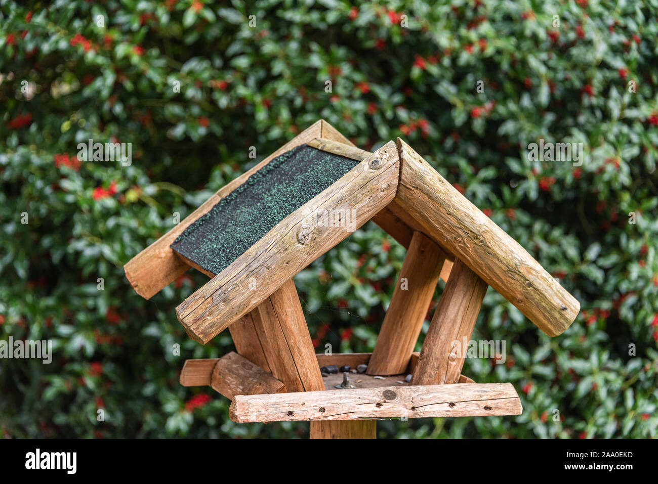 Nuovo birdhouse per alimentare gli uccelli montata su un palo di legno Foto Stock