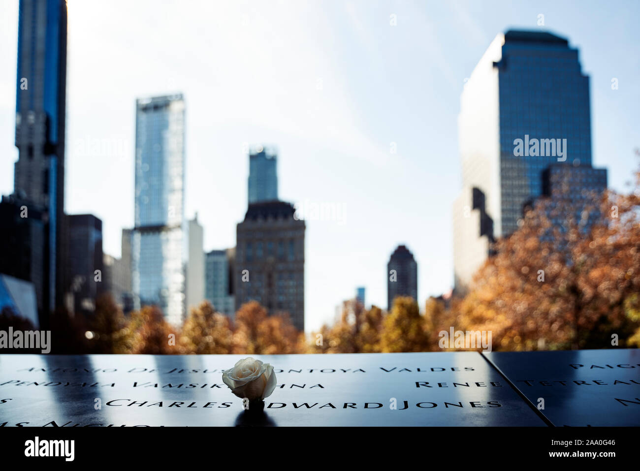 Rosa Bianca ricordando i morti del World Trade Center Foto Stock