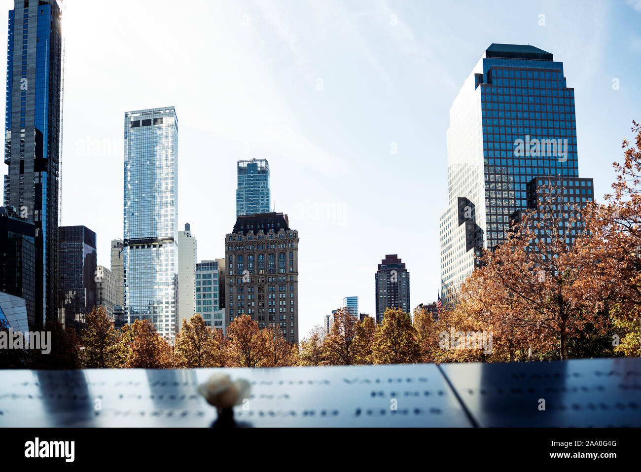 Rosa Bianca ricordando i morti del World Trade Center Foto Stock