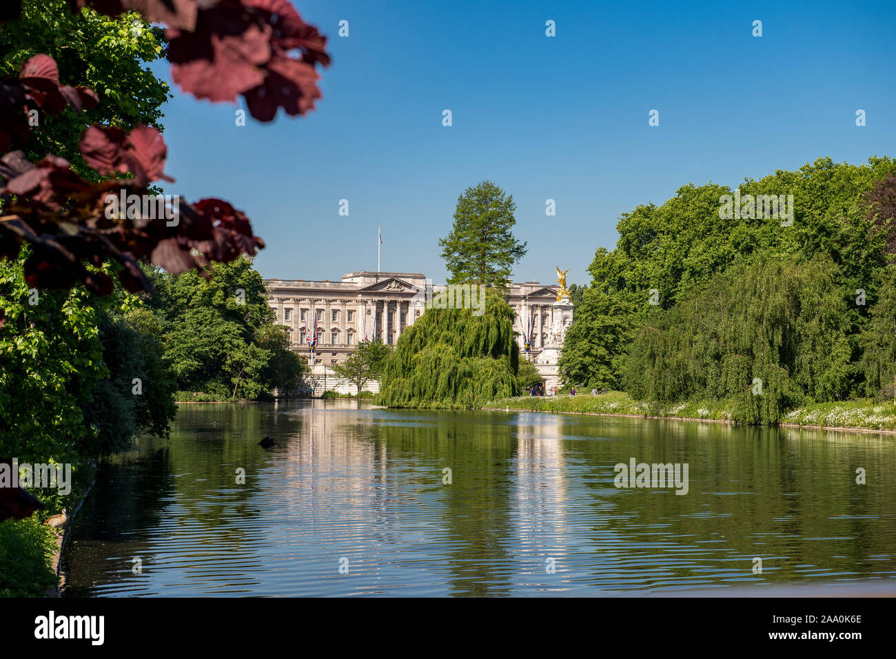 L'esterno della residenza della Regina d'Inghilterra di Buckingham Palace da St James Park in estate, laghetto e alberi verdi in primo piano in una chiara giornata di sole Foto Stock
