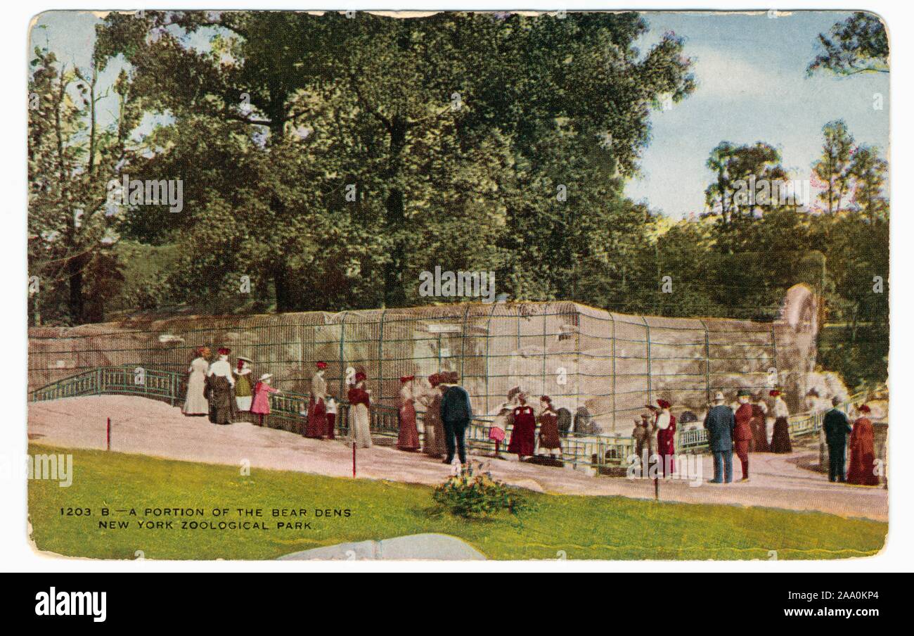 Cartolina illustrata di visitatori in piedi da contenitori di recare presso la città di New York Zoological Park, ora noto come il Bronx Zoo di New York City, pubblicato da New York Zoological Society, 1908. Dalla Biblioteca Pubblica di New York. () Foto Stock