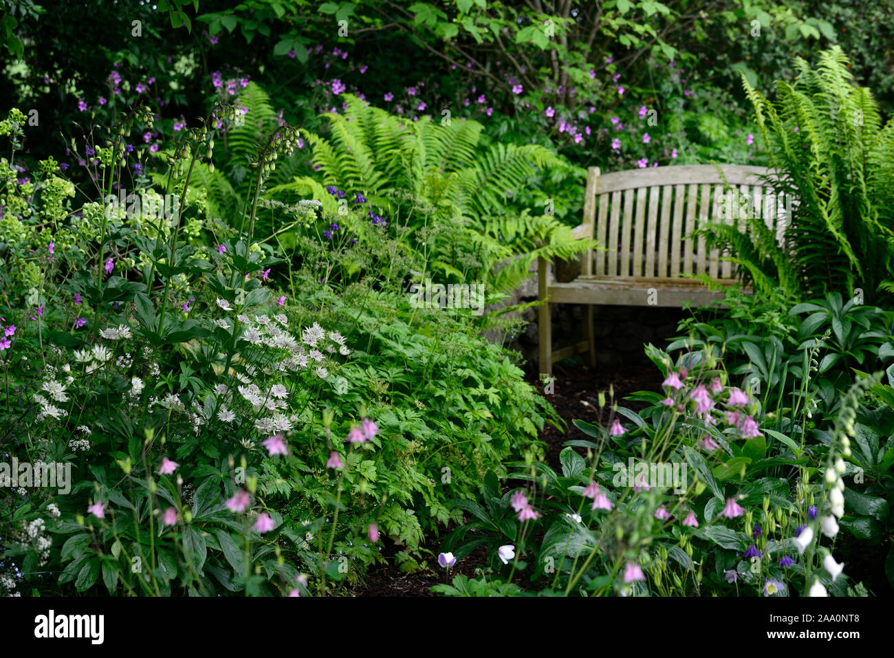 posto a sedere in giardino, protetto, nascosto, appartato, mistero, luogo, spazio, giardino, giardini, giardinaggio, Wicklow, RM Floral Foto Stock