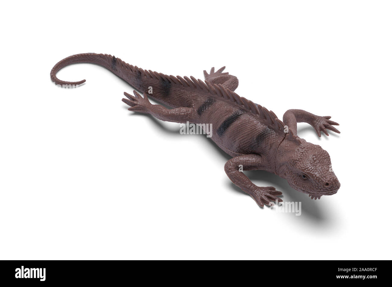 Piccolo marrone Toy Lizard isolati su sfondo bianco. Foto Stock