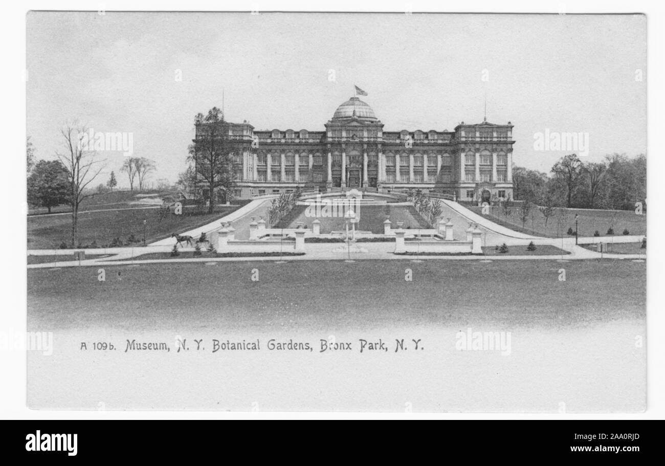 Incisi cartolina del Giardino Botanico museo, Bronx Park, New York City, pubblicato da Rotograph Co, 1905. Dalla Biblioteca Pubblica di New York. () Foto Stock