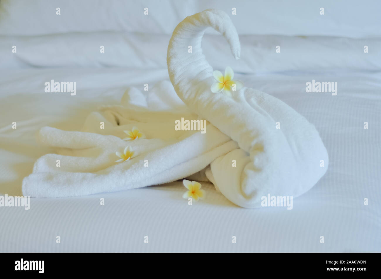 Bellissimo cigno dal bianco asciugamano da bagno decorare sul letto bianco. asciugamano swan con fiori di attualità - frangipani. Bel saluto dall'hotel. Foto Stock