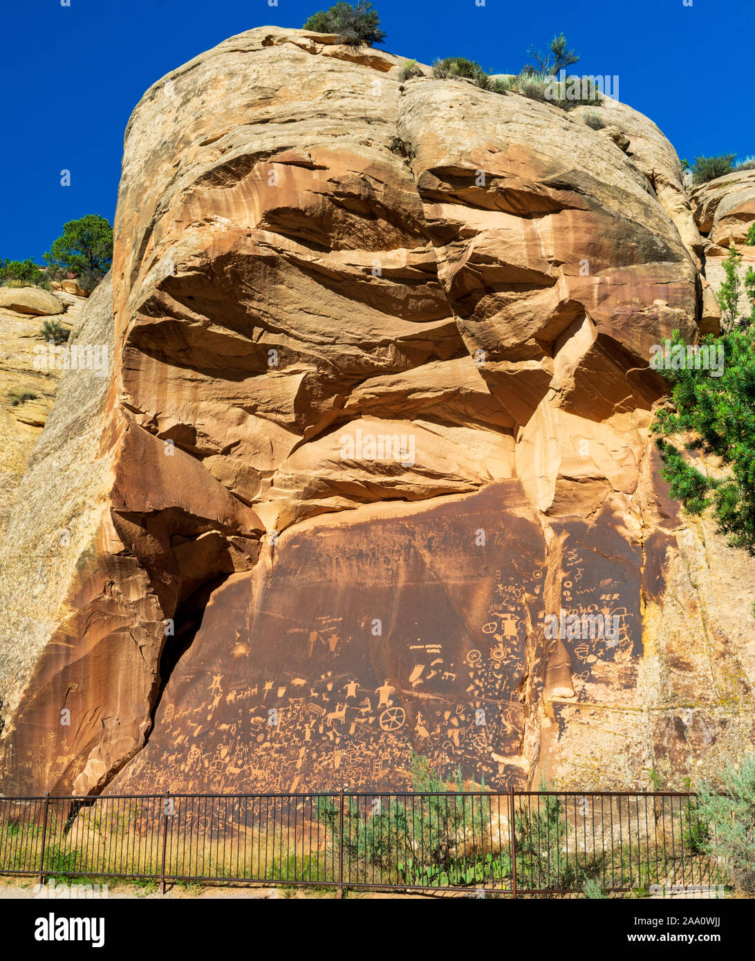 Newspaper Rock petroglifi Canyonlands, Utah Foto Stock