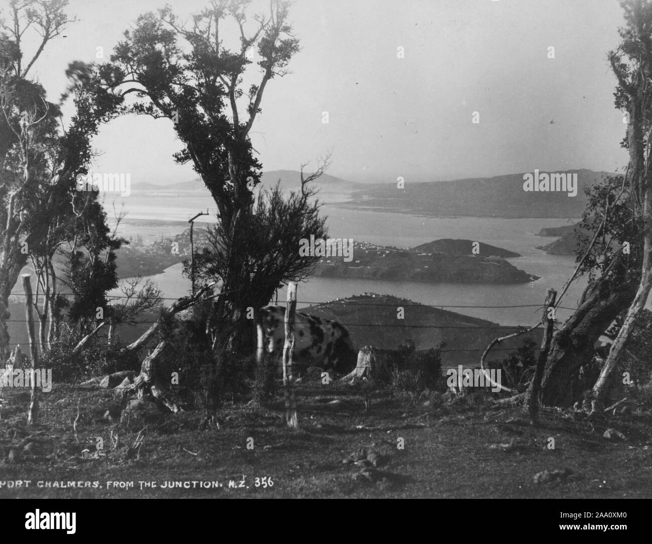 Bianco e nero fotografia paesaggio di Port Chalmers, un sobborgo e il porto principale della città di Dunedin, South Island, in Nuova Zelanda, dal fotografo Frank Coxhead, 1885. Dalla Biblioteca Pubblica di New York. () Foto Stock