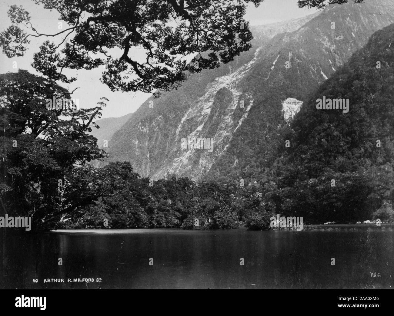 Bianco e nero fotografia paesaggio Arthur fiume che scorre nel Milford Sound, in Milford Sound nel Parco Nazionale di Fiordland nell'Isola del Sud, Nuova Zelanda, dal fotografo Frank Coxhead, 1885. Dalla Biblioteca Pubblica di New York. () Foto Stock
