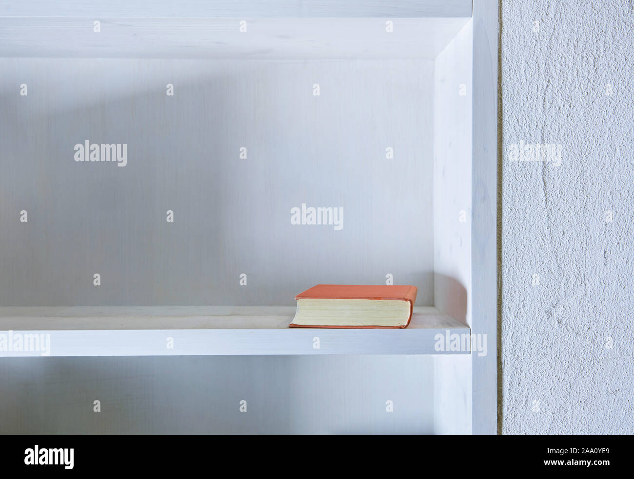 Unico libro in bianco ripiano nel muro bianco Foto Stock