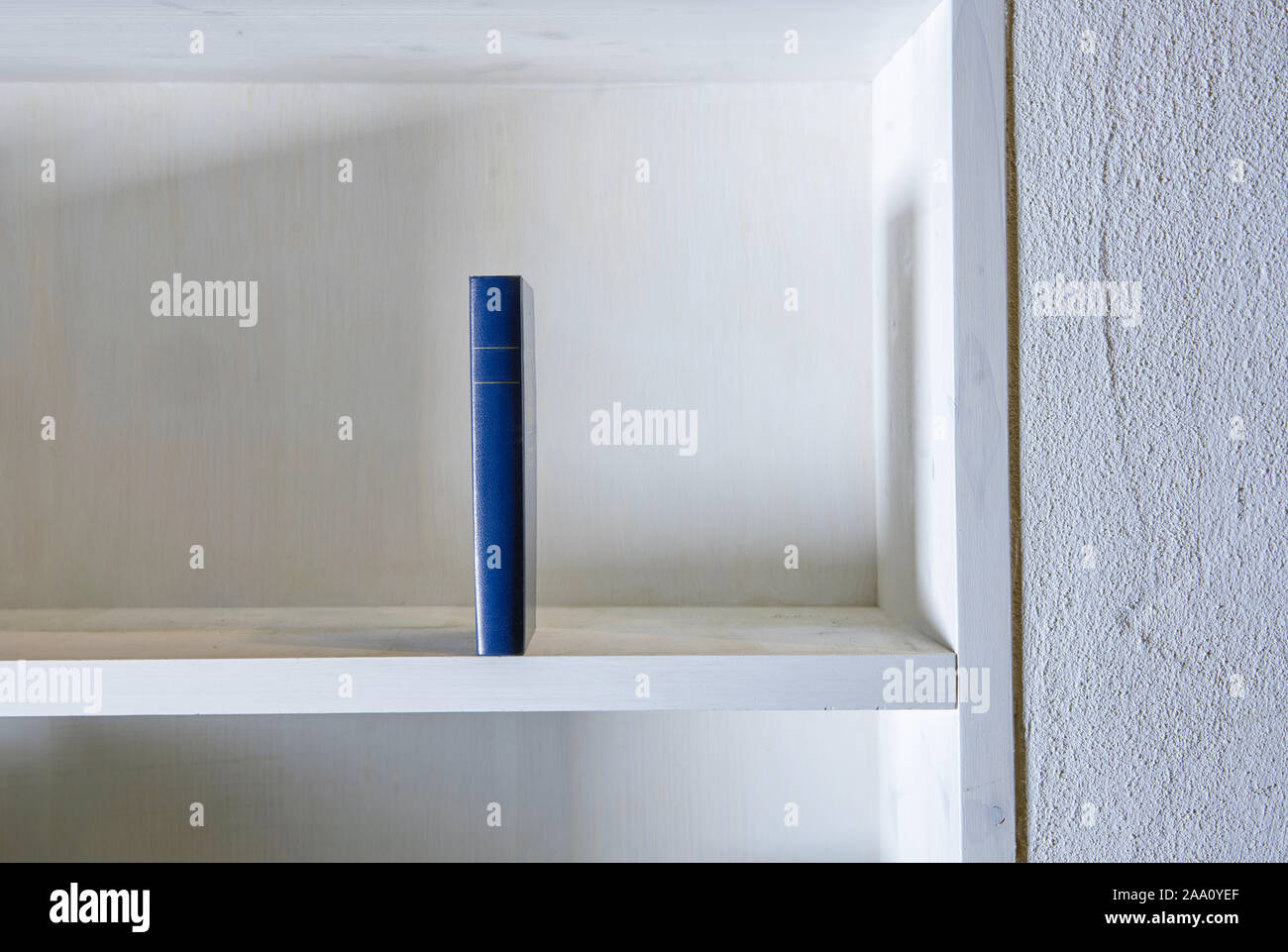 Libro unico montante eretta nel ripiano bianco nel muro bianco Foto Stock