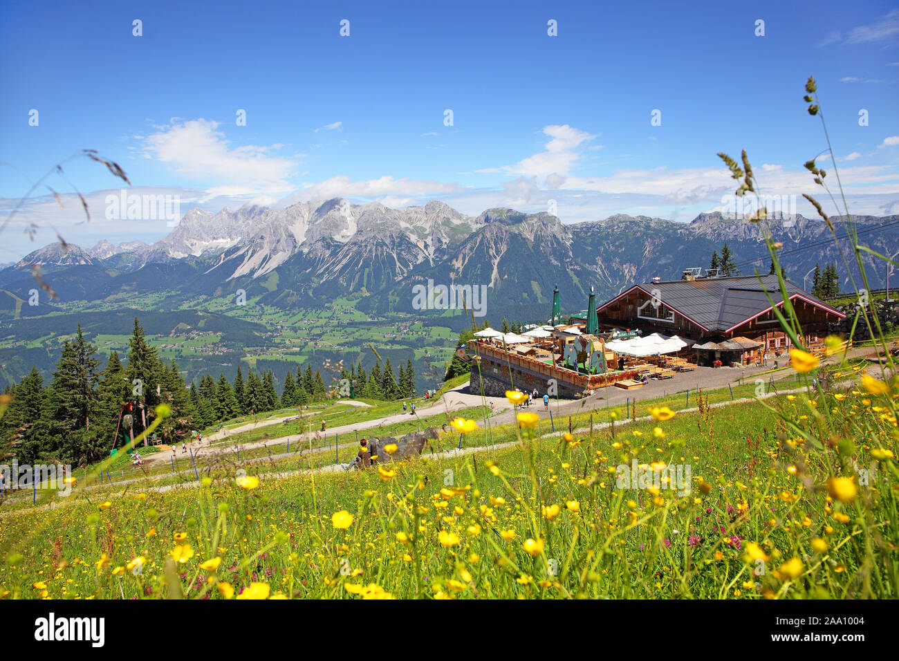 Schafalm auf der Planai vor dem Dachsteinmassiv, Planai, Schladminger Tauern, Steiermark, Österreich, Europa Foto Stock