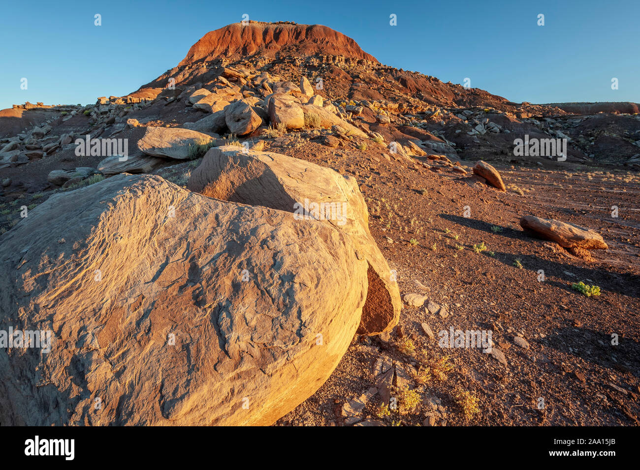 Rocce e badlands, Deserto Dipinto, Parco Nazionale della Foresta Pietrificata, Arizona USA Foto Stock