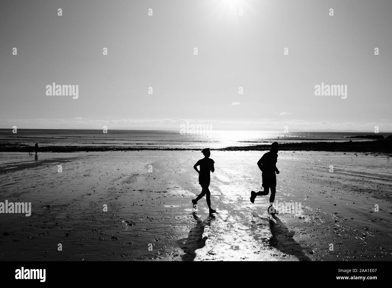 Cane a camminare e guide su Langland Beach nella Baia di Langland sulla Penisola di Gower nel Galles del Sud Foto Stock