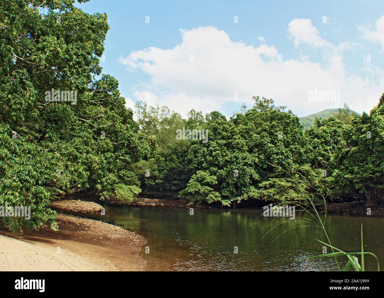 Dove il Fiume Barron passa attraverso la macchia di Kamerunga conservation park nella zona suburbana di Cairns, FNQ Australia Foto Stock