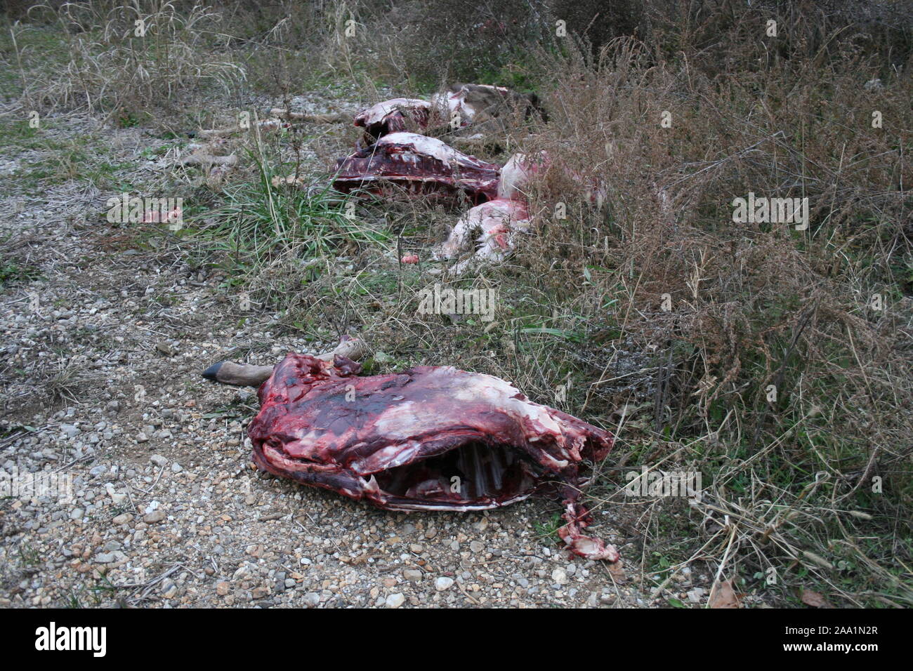 Gli scarichi illegali e violazioni di caccia. Foto Stock
