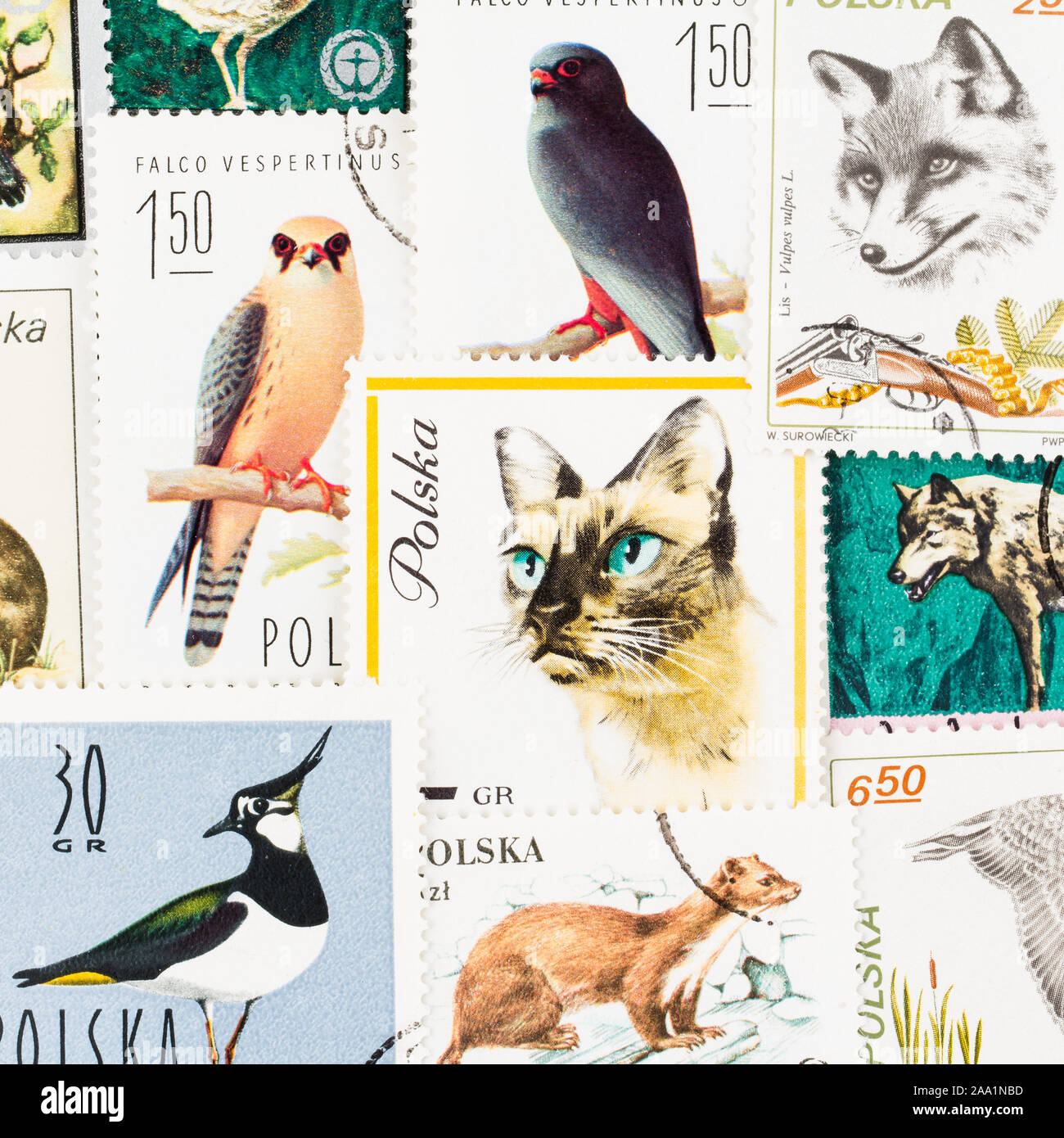 SEATTLE WASHINGTON - Ottobre 5, 2019: sfondo Collage polacca di francobolli con animali. Foto Stock