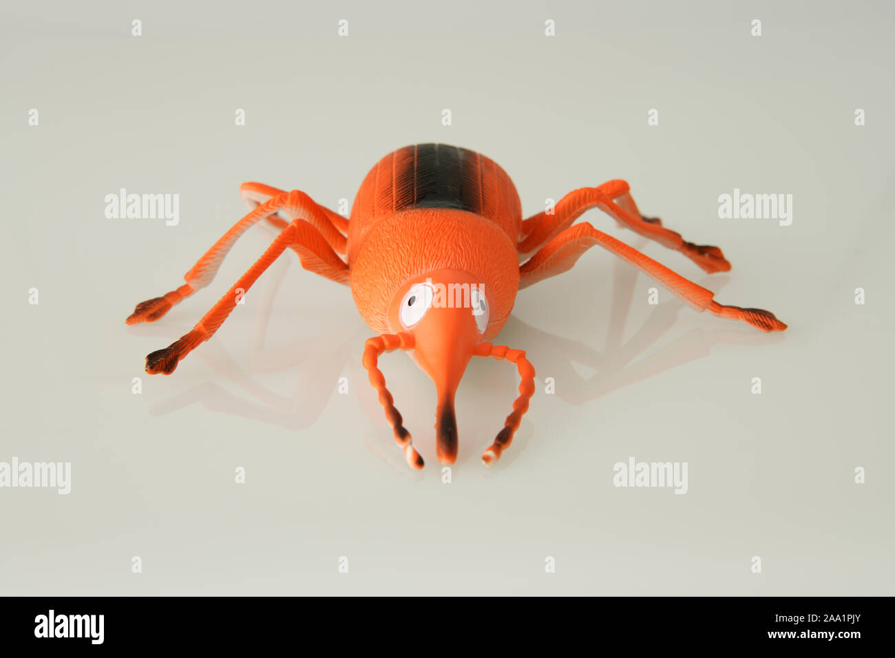 Carino arancione di insetto, giocattolo del bambino e colorati di bug con sei gamba e proboscide, funny occhi, chiudere, ancora in vita, Pest, illustrazione Foto Stock