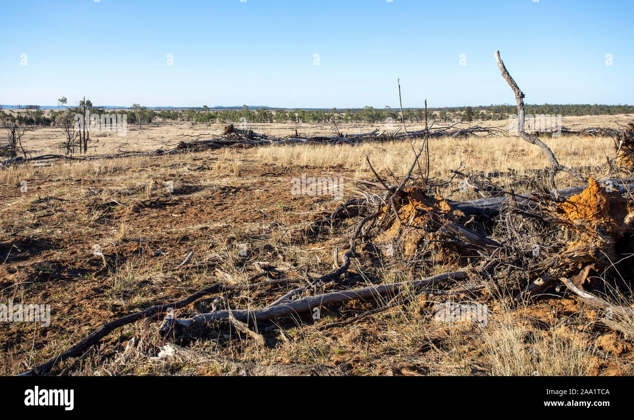 Vista del paese stato eliminato di recente di alberi, evidenziando la deforestazione in Queensland, Australia Foto Stock