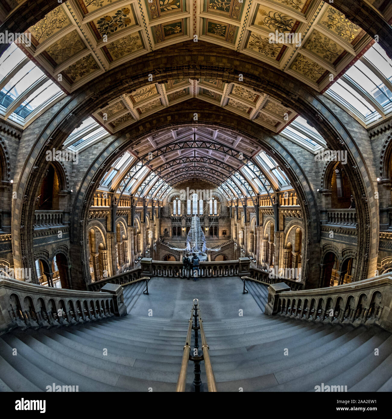 Ampio angolo di visione del 25-metro blu femmina di scheletro di balena denominata "Speranza" nel Hintze sala del Museo di Storia Naturale di Londra, Regno Unito Foto Stock