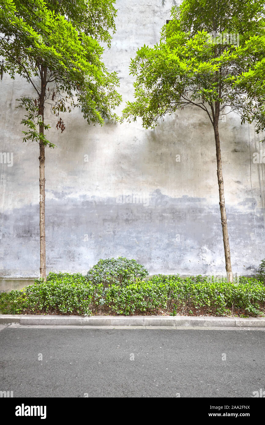 Vecchio muro con alberi e piante, spazio per il testo. Foto Stock