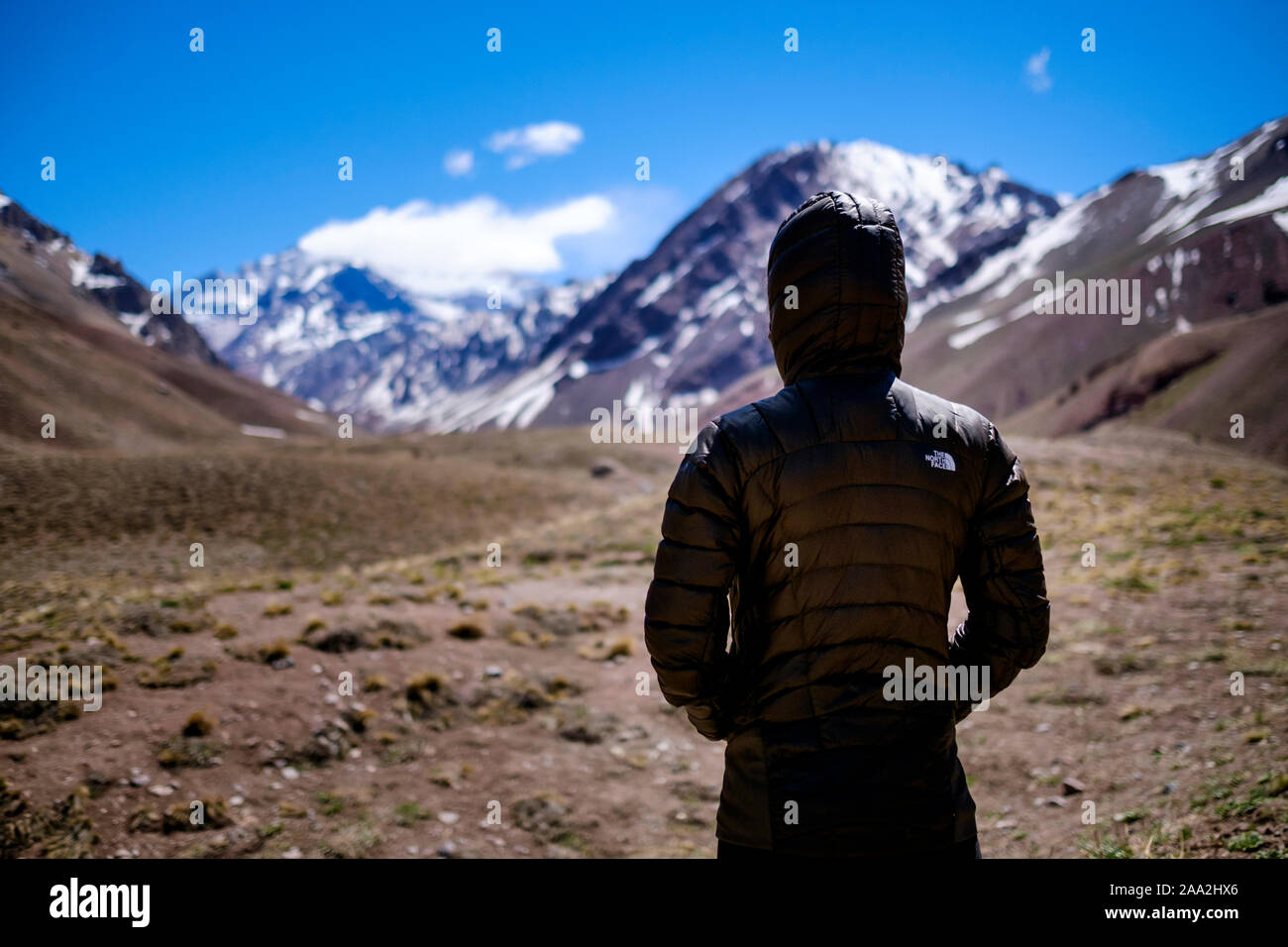 Indossa una North Face camicia isolata al Parco Aconcagua con il Monte  Aconcagua sfocati sullo sfondo, provincia di Mendoza, Argentina Foto stock  - Alamy