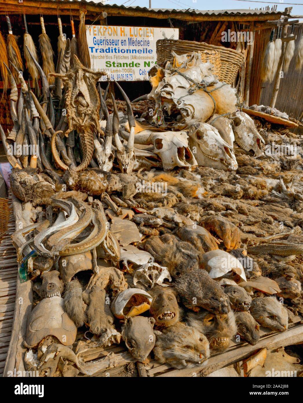 La vendita di animali morti e teste di animali, Fetish mercato, Togo Foto Stock