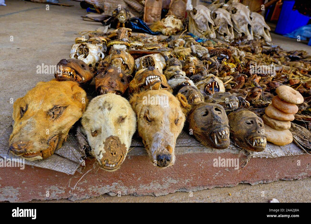 La vendita di animali morti e teste di animali, Fetish mercato, Togo Foto Stock