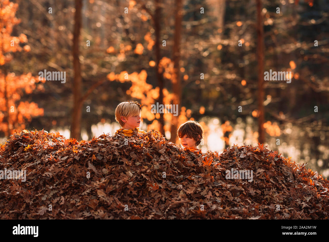 Due ragazzi giocare in un mucchio di foglie di autunno, STATI UNITI D'AMERICA Foto Stock