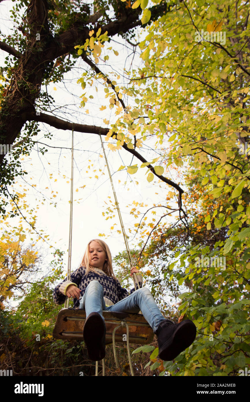 Ragazzo seduto su un altalena nel giardino, Danimarca Foto Stock