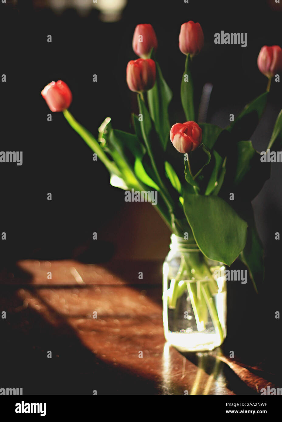 Vaso di tulipani su un tavolo di legno Foto Stock