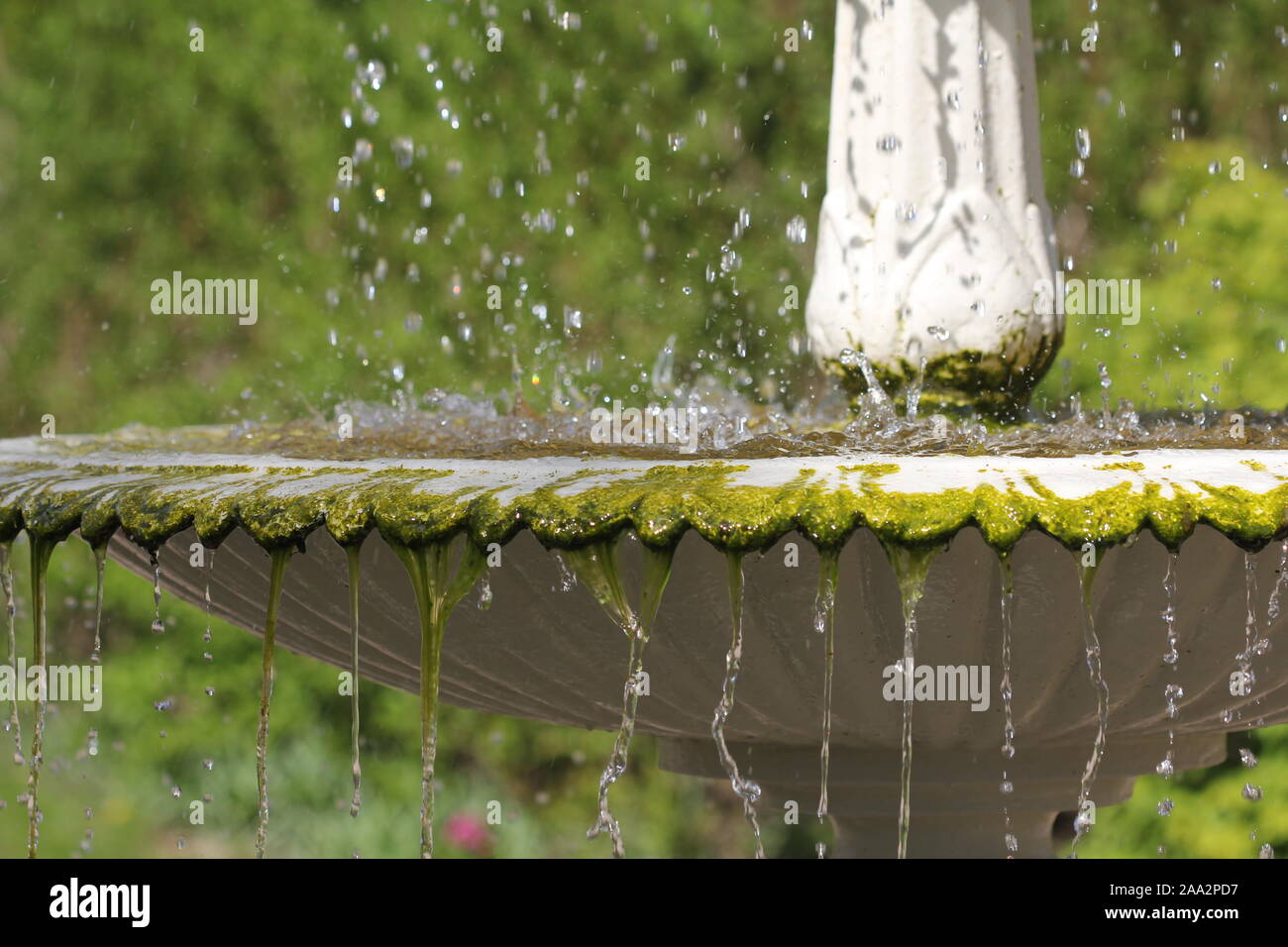 Close up della fontana di acqua in Sheffield Botanical gardens Foto Stock