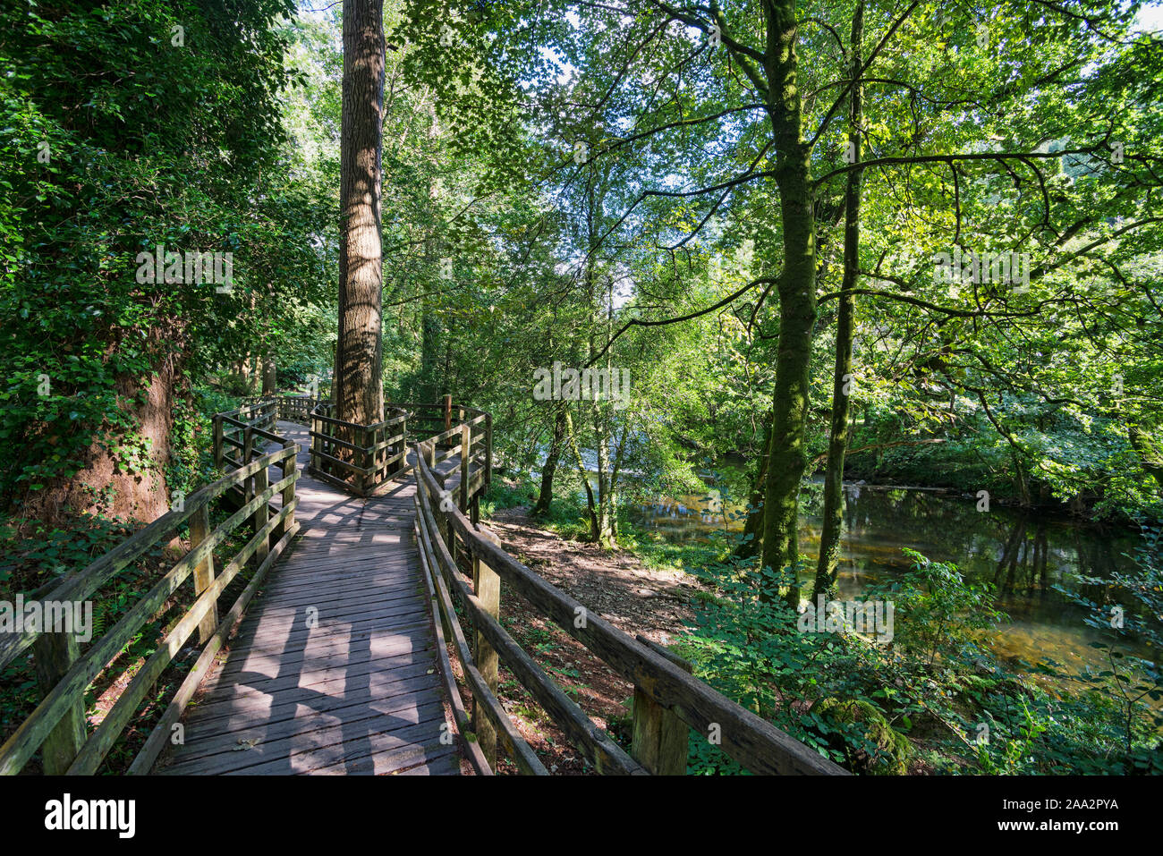 Betws y Coed, passerella in legno, il sentiero percorso lungo il fiume Llugwy; vicino a falls, Conwy, Conway, Snowdonia, Galles del Nord, Regno Unito Foto Stock