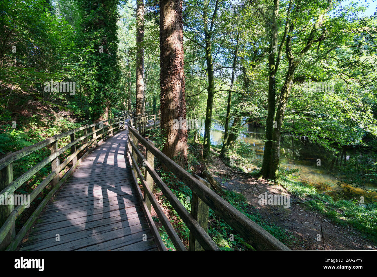 Betws y Coed, passerella in legno, il sentiero percorso lungo il fiume Llugwy; vicino a falls, Conwy, Conway, Snowdonia, Galles del Nord, Regno Unito Foto Stock
