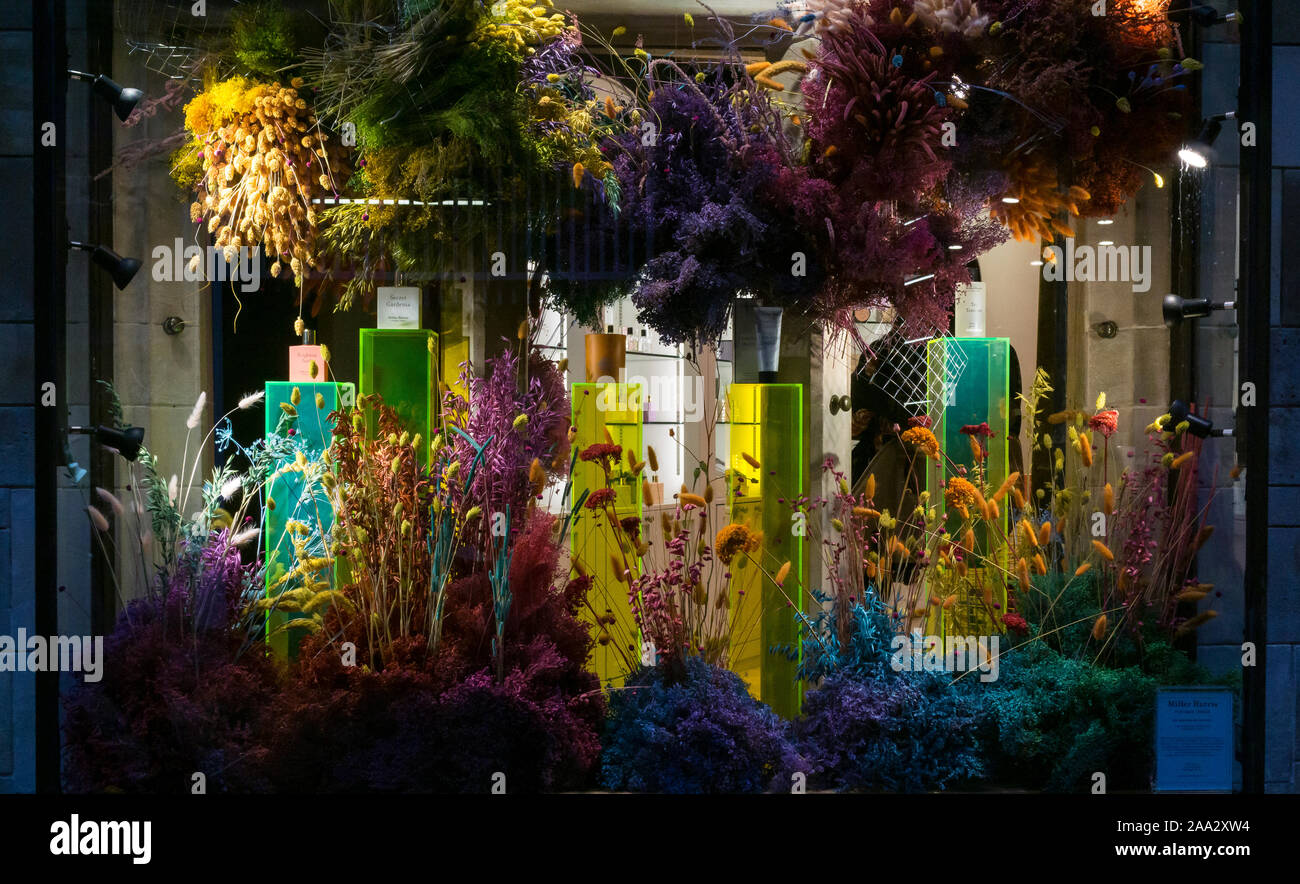 Profumo vetrina decorazione di piante immitation sera Novembre 2019 Foto Stock