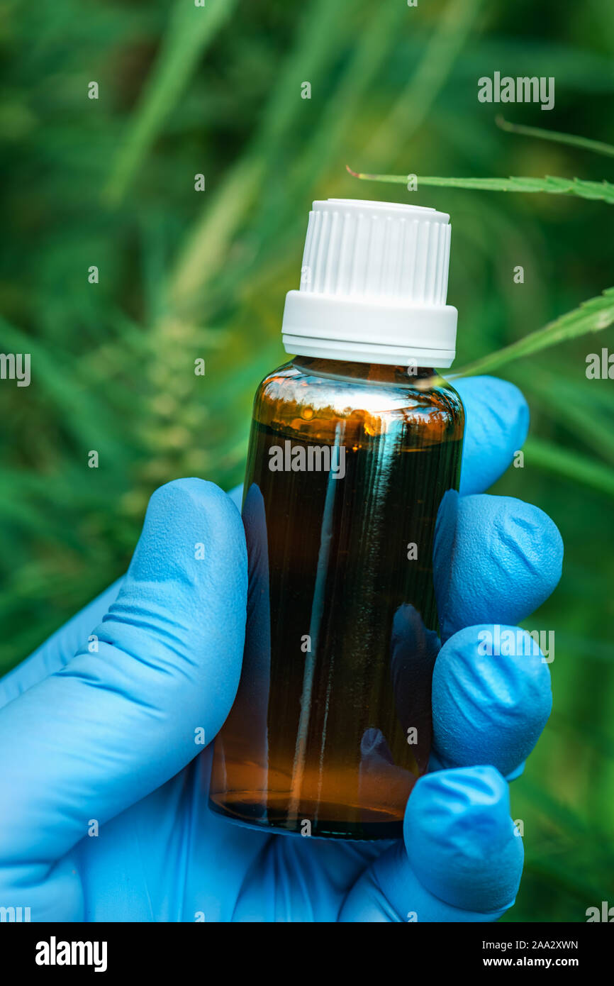 Scienziato CBD di contenimento olio di cannabis bottiglia coltivati nel campo di marijuana, la stretta di mano con cannabidoil, il fuoco selettivo Foto Stock