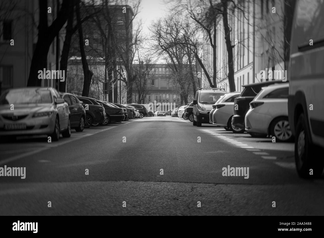 Strada di città con vetture di bianco-nero in foto Foto Stock