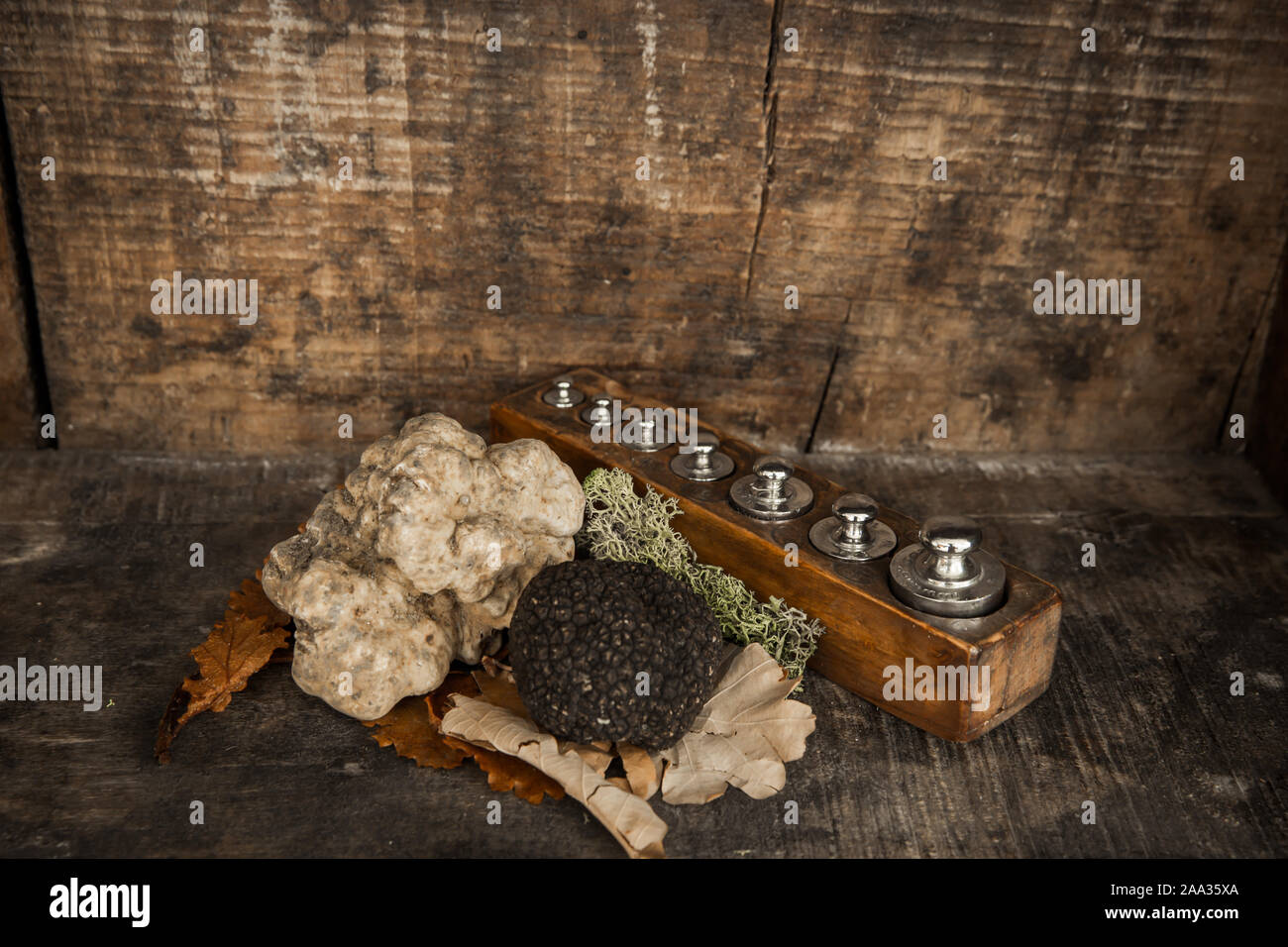 Gruppo di tartufo bianco e nero, il cibo gourmet da Italia, cadono in Italia, molto alta qualità del cibo. Foto Stock