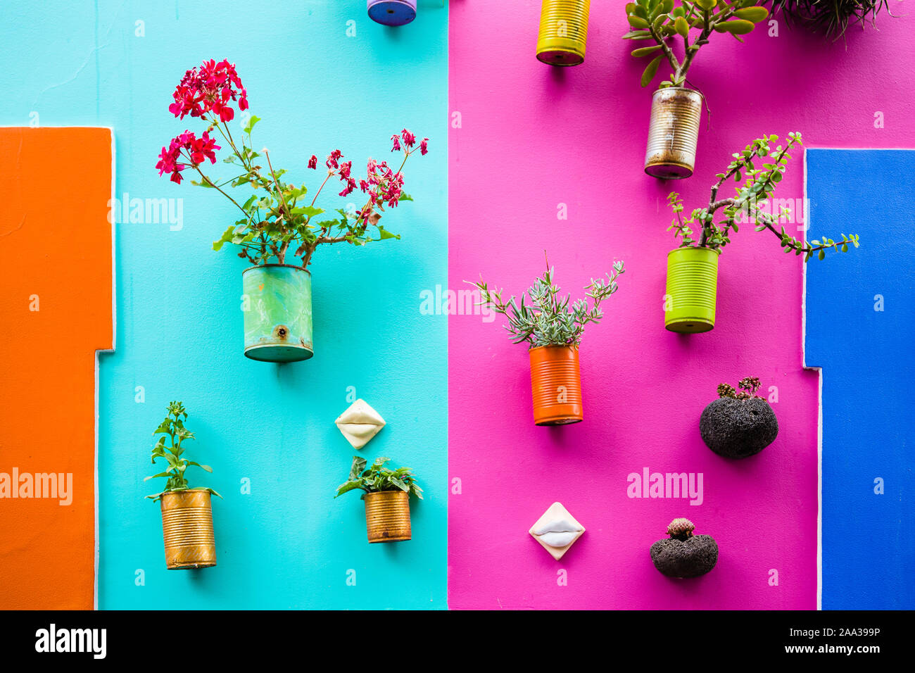 Lattina riciclata come vasi di fiore ecologico appeso a parete colorata Foto Stock