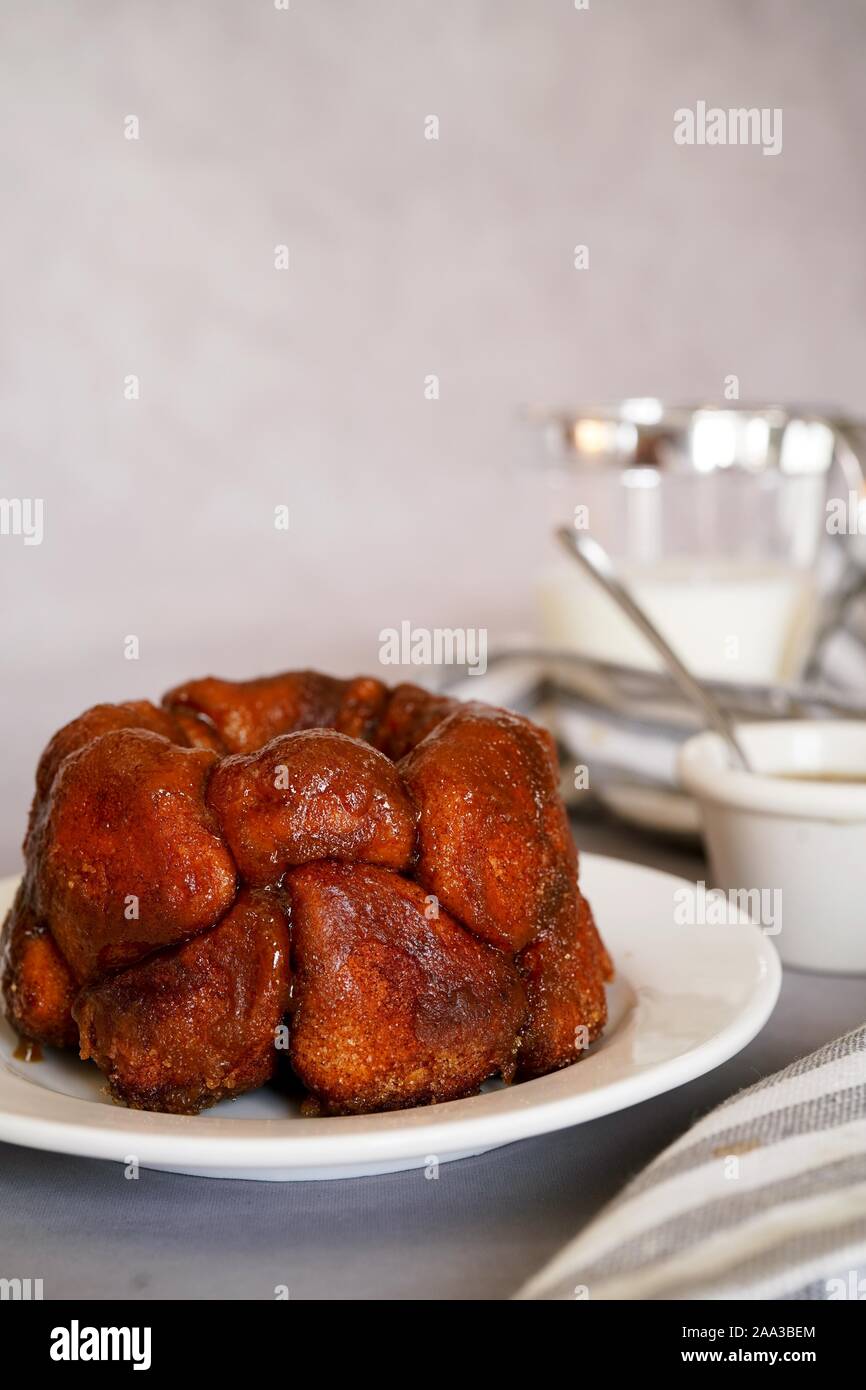 In casa Mini pane scimmia, il fuoco selettivo Foto Stock