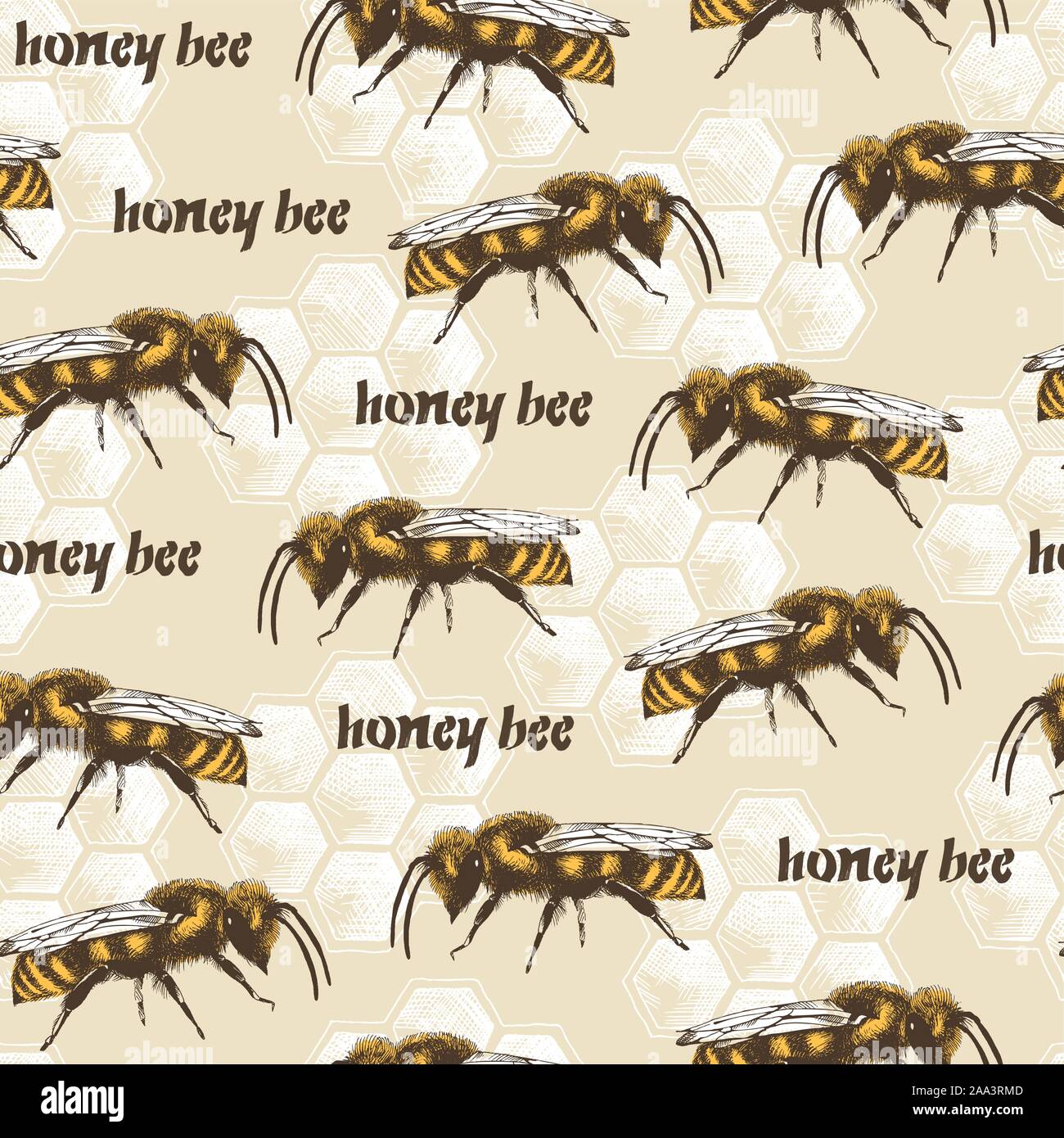 Il miele delle api e favi color vector seamless pattern in stile di incisione su sfondo beige Illustrazione Vettoriale