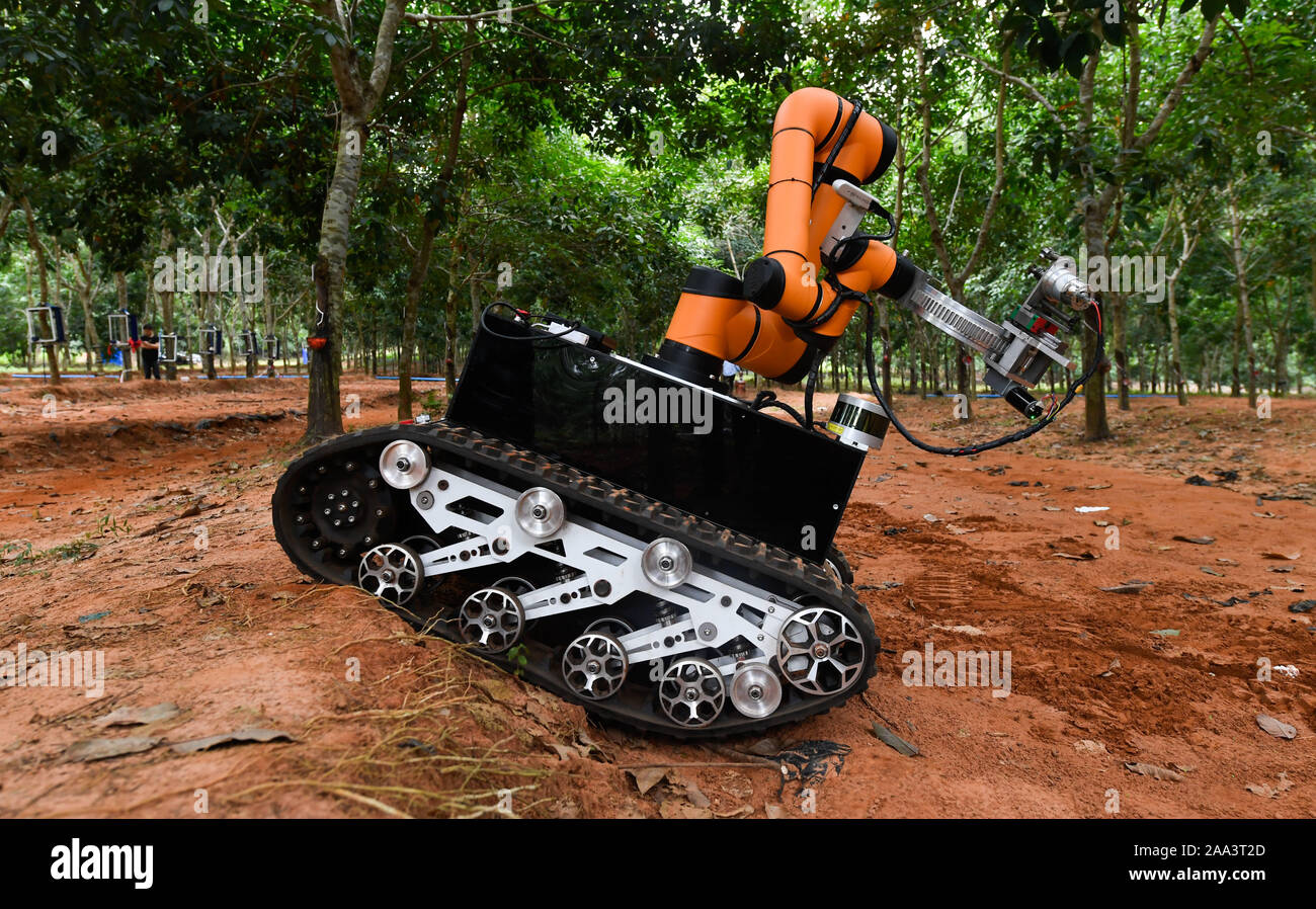 Haikou. Xix Nov, 2019. Un autonomo di gomma-toccando il robot si muove in discesa in corrispondenza di una piantagione di gomma attaccati ad una industria della gomma naturale azienda nel sud della Cina di Hainan Provincia, nov. 19, 2019. Il robot ha avviato di recente un sito toccando in gomma Corsa di prova con un obiettivo di migliorare efficienza e automazione della produzione di gomma. Credito: Yang Guanyu/Xinhua/Alamy Live News Foto Stock