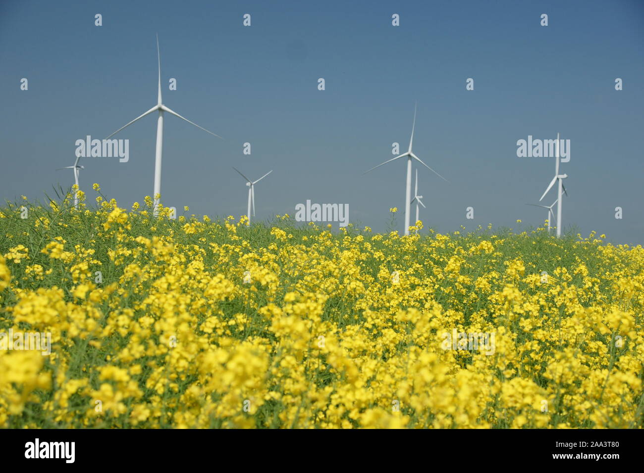 Wind Farm wind power station Foto Stock