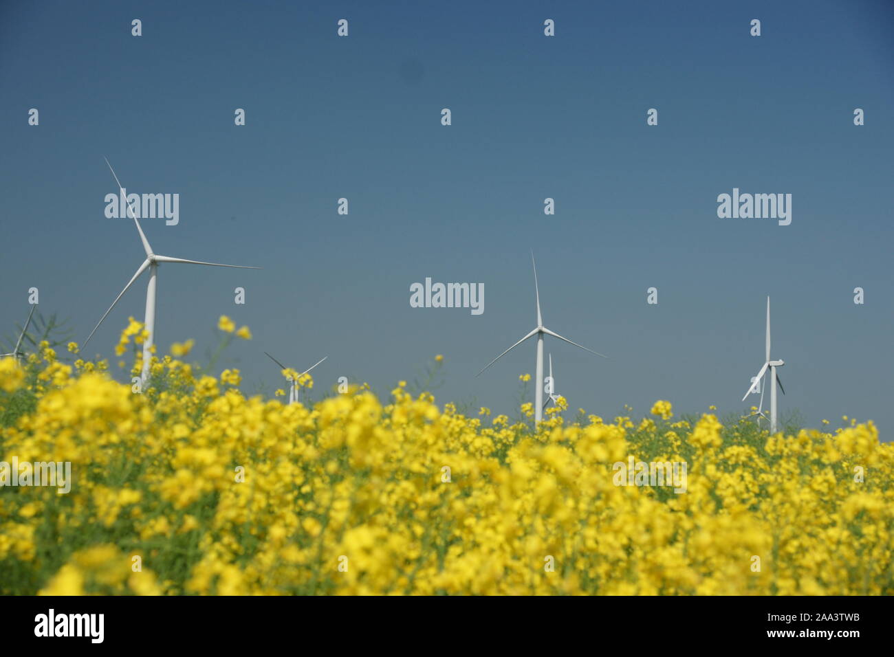 Wind Farm wind power station Foto Stock