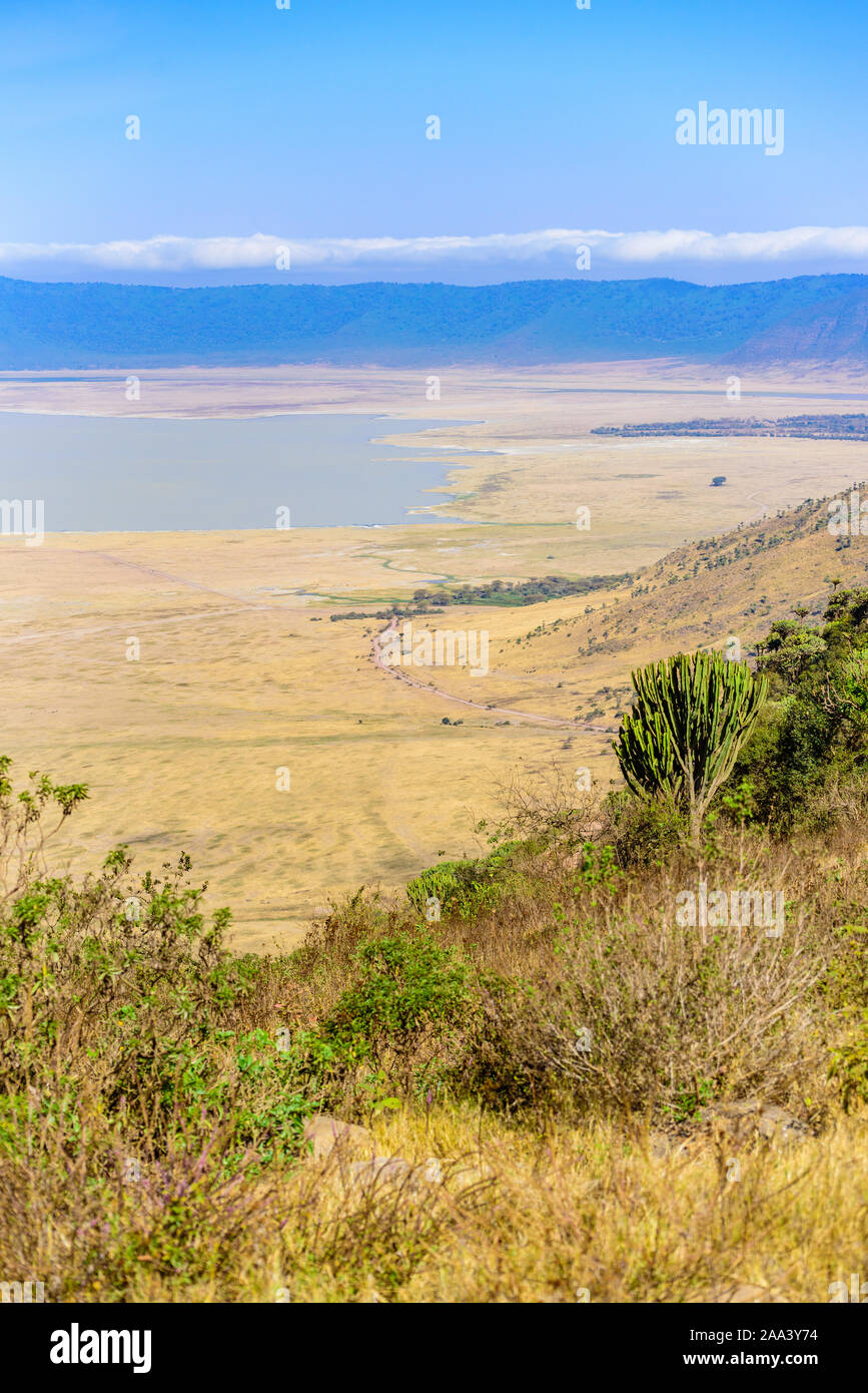 Panorama del cratere di Ngorongoro Parco nazionale con il Lake Magadi. Tour safari nella savana di Africa. Bellissimo paesaggio paesaggio in Tanzania, Africa Foto Stock