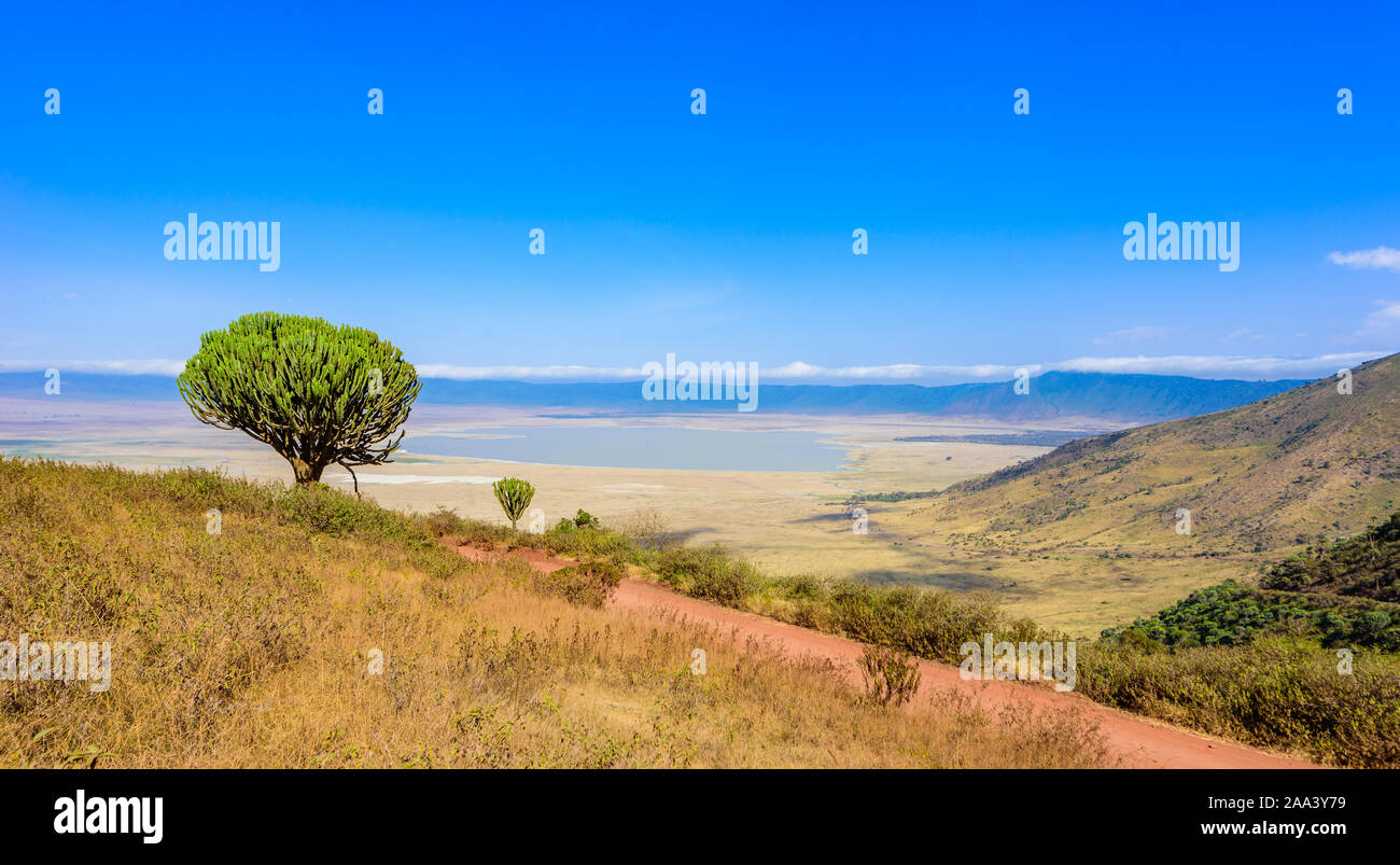 Panorama del cratere di Ngorongoro Parco nazionale con il Lake Magadi. Tour safari nella savana di Africa. Bellissimo paesaggio paesaggio in Tanzania, Africa Foto Stock