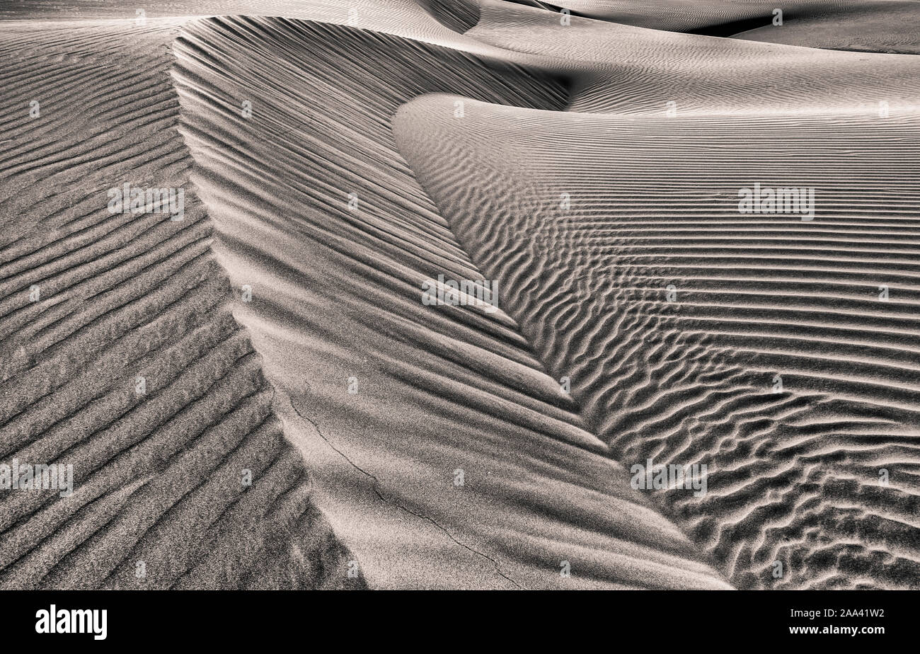 Le dune di sabbia. Pattern, natura, ondulazioni, forma naturale. Foto Stock