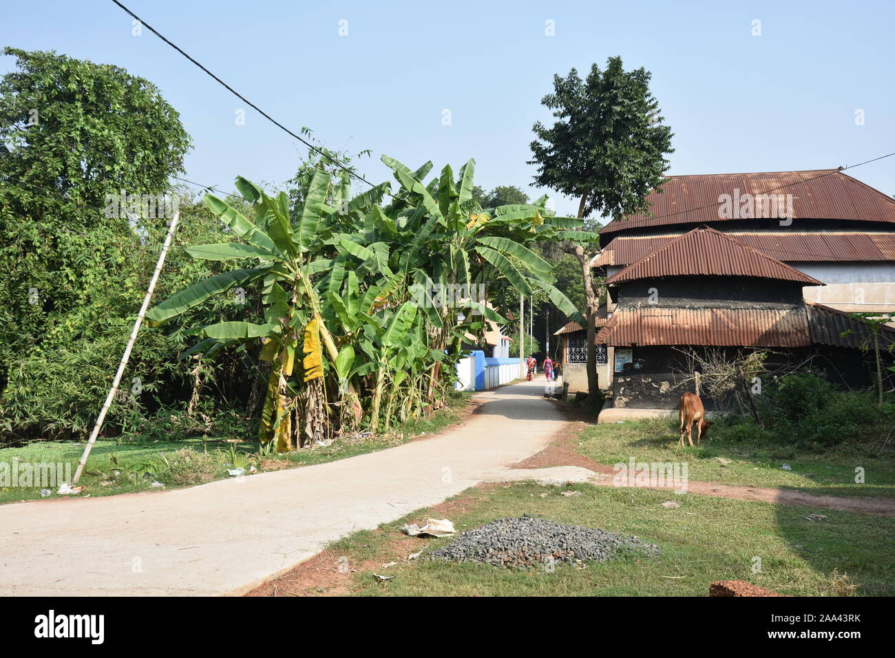 La scena del villaggio di Birsingha (luogo di nascita di Ishwar Chandra Vidyasagar). West Midnapore, Bengala occidentale. India. Foto Stock